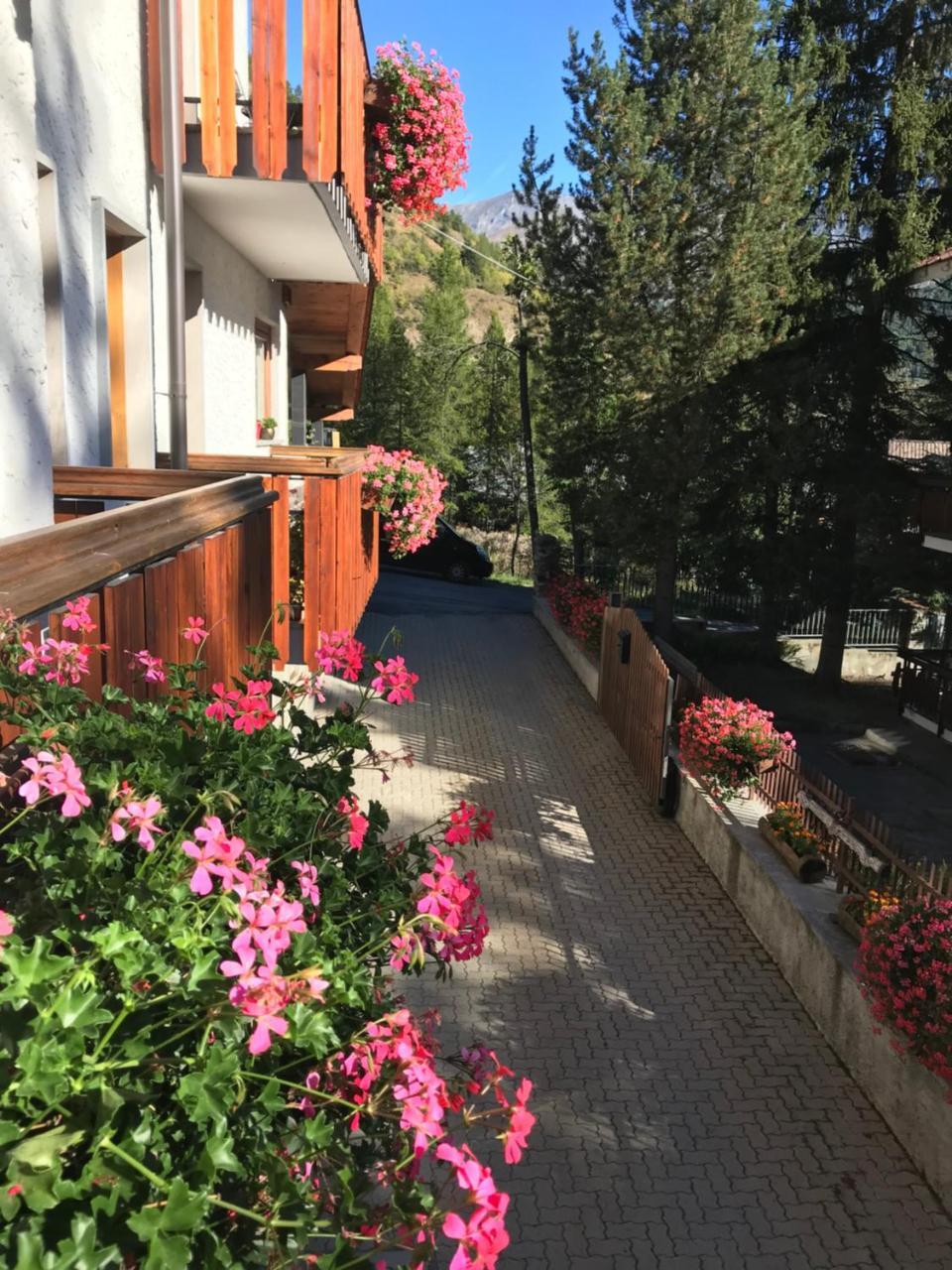 Hotel La Nigritella Bardonecchia Eksteriør bilde